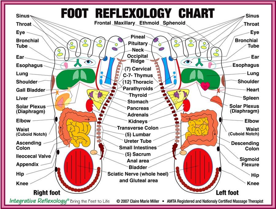 Foot Reflex Zone Chart