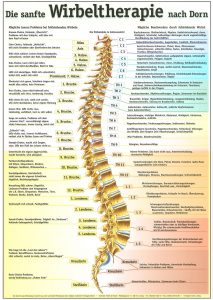 Die sanfte Wirbeltherapie nach Dorn