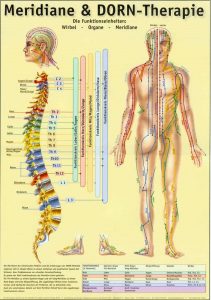 Meridiane & DORN-Therapie